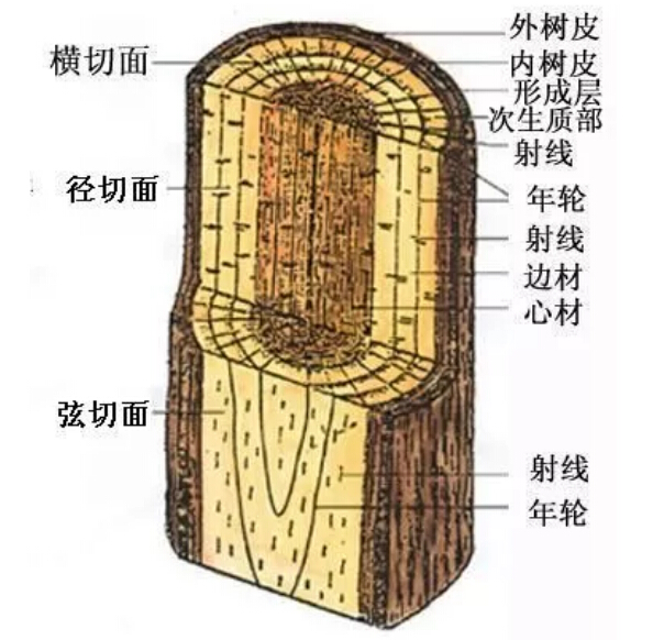 實(shí)木家具有色差正常嗎！實(shí)木家具色差有原因！